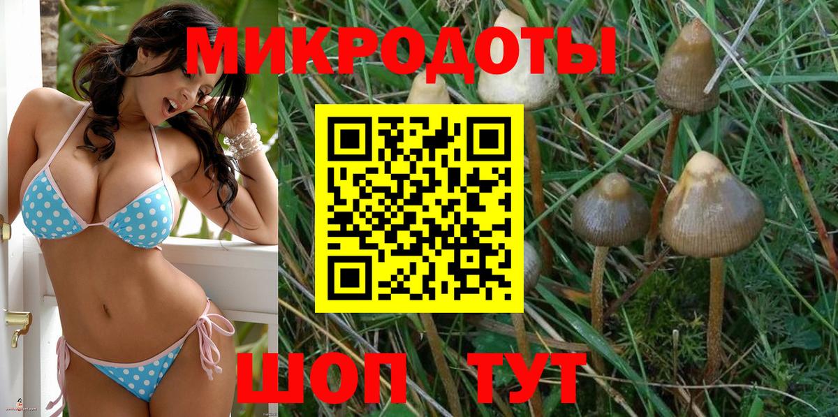 Галлюциногенные грибы мухоморы Химки